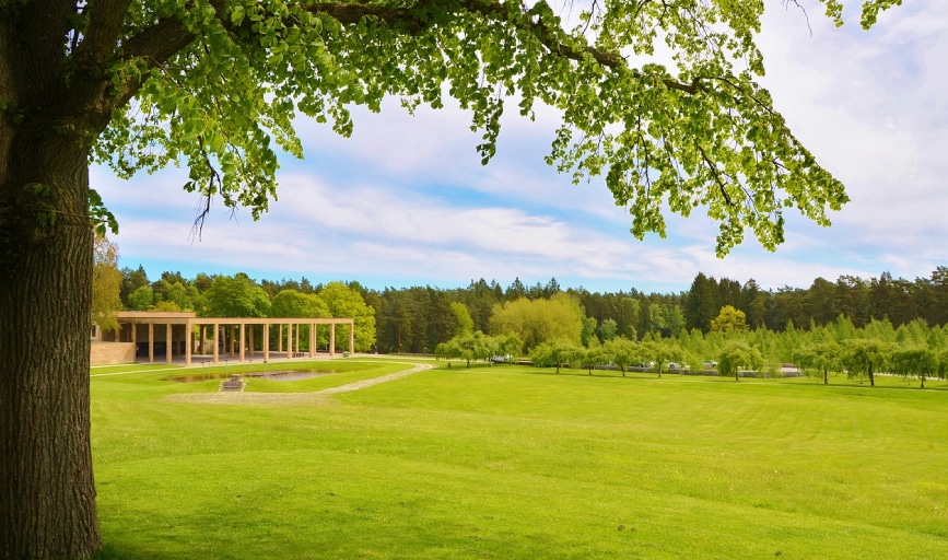 Extensive Lawns
